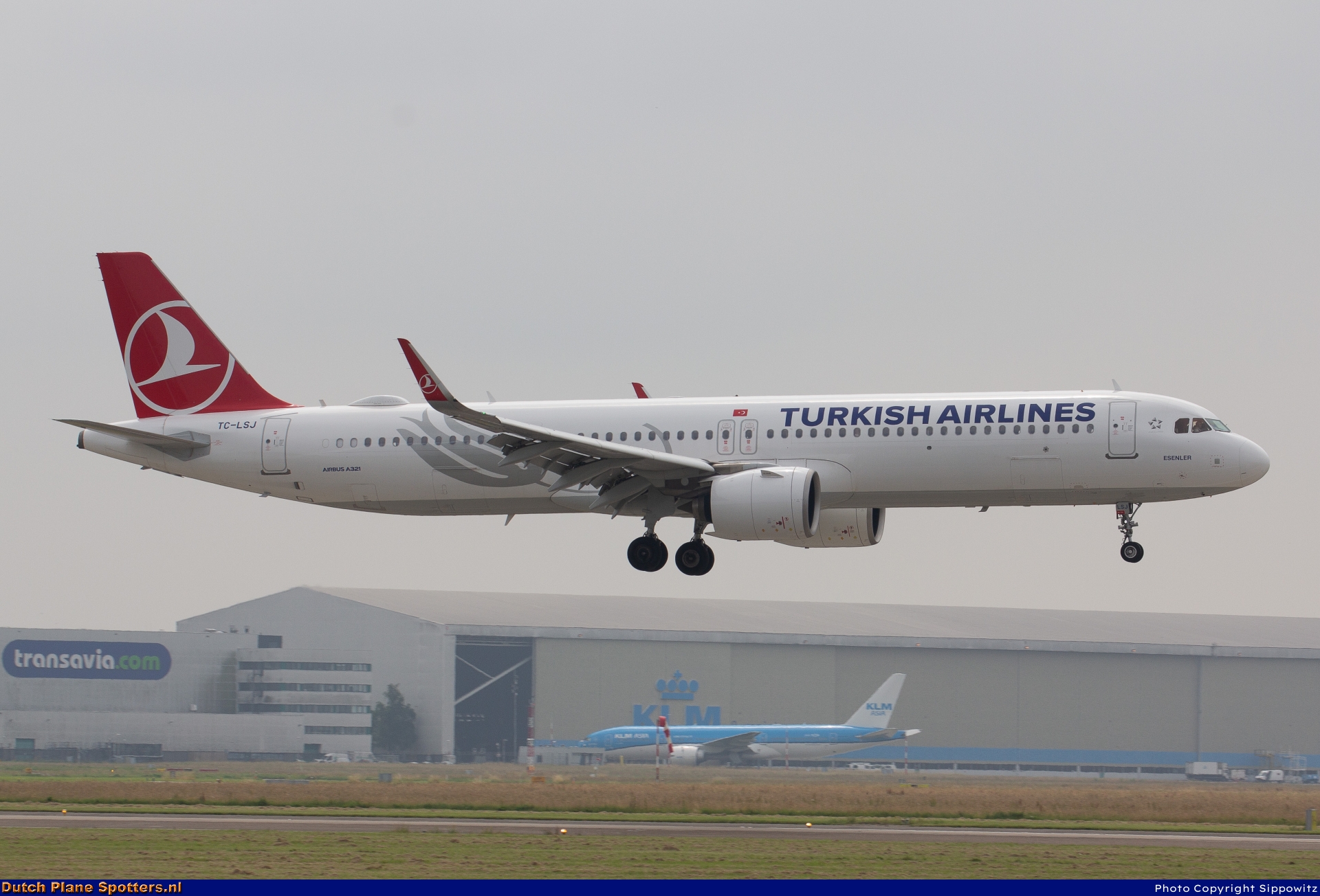 TC-LSJ Airbus A321neo Turkish Airlines by Sippowitz