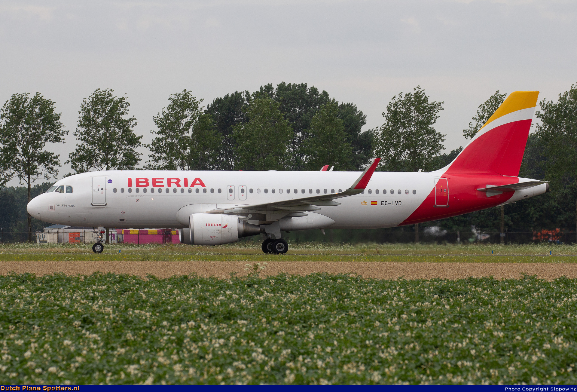 EC-LVD Airbus A320 Iberia by Sippowitz