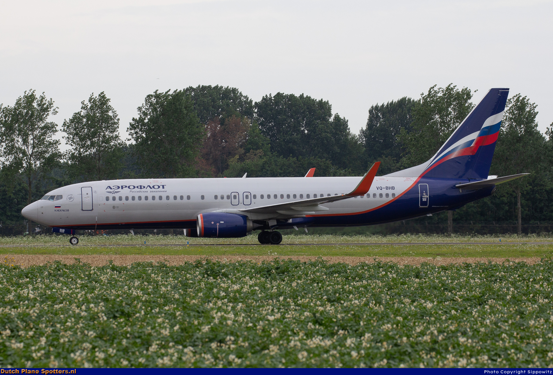 VQ-BHB Boeing 737-800 Aeroflot - Russian Airlines by Sippowitz
