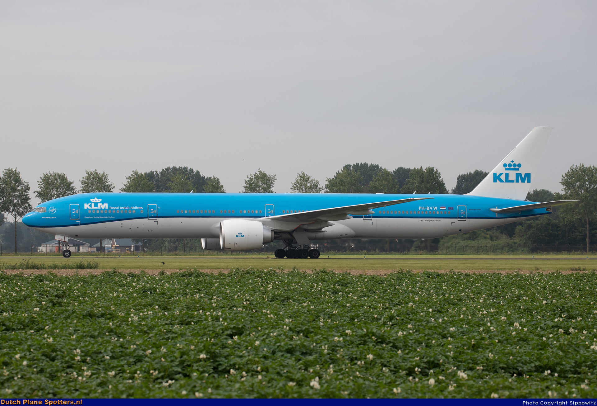 PH-BVW Boeing 777-300 KLM Royal Dutch Airlines by Sippowitz
