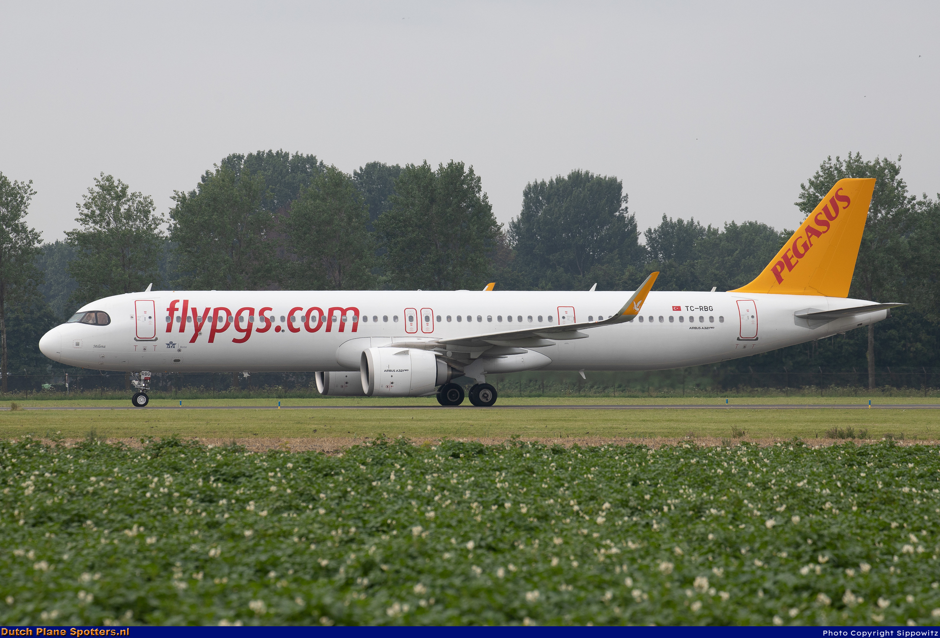 TC-RBG Airbus A321neo Pegasus by Sippowitz
