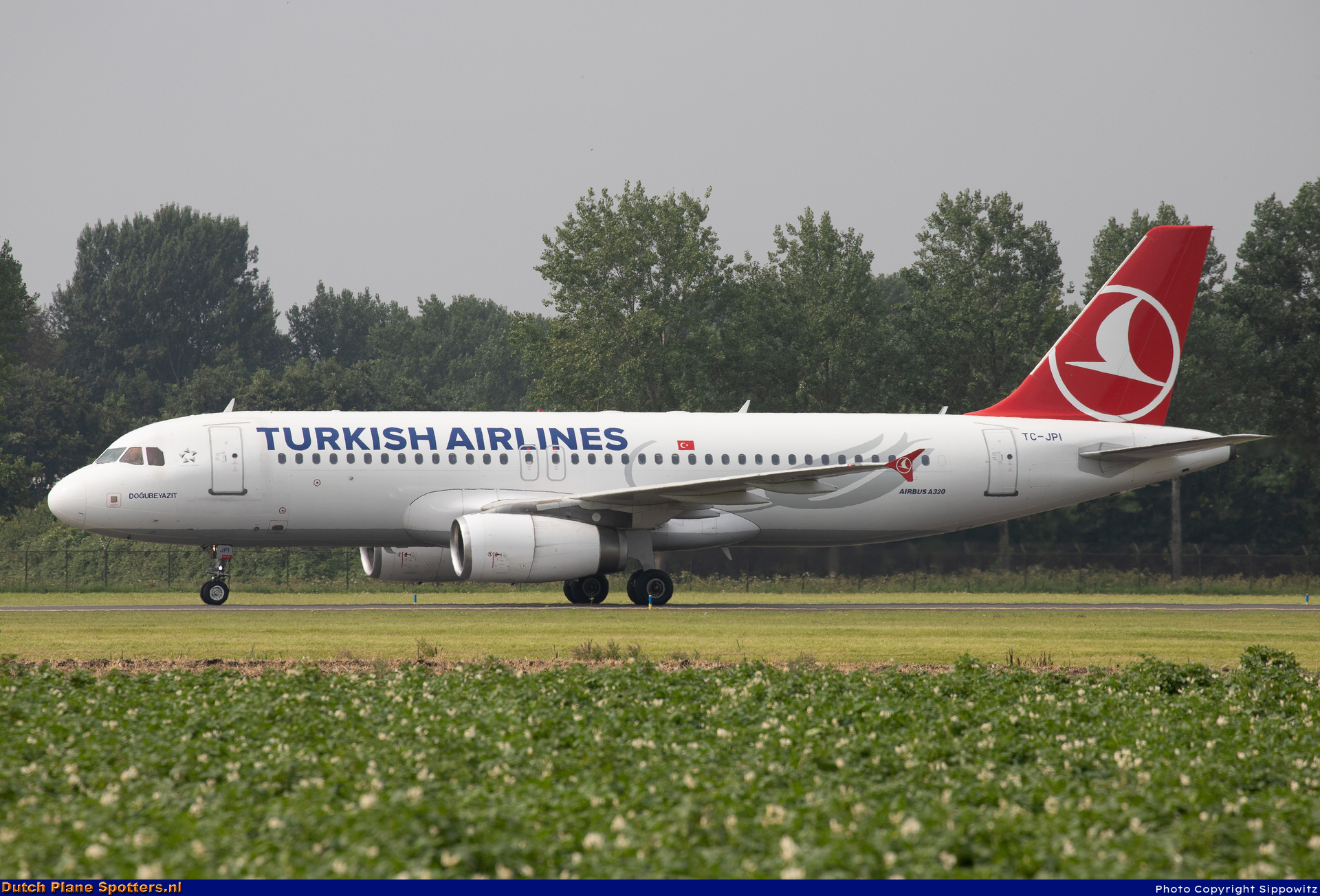 TC-JPI Airbus A320 Turkish Airlines by Sippowitz