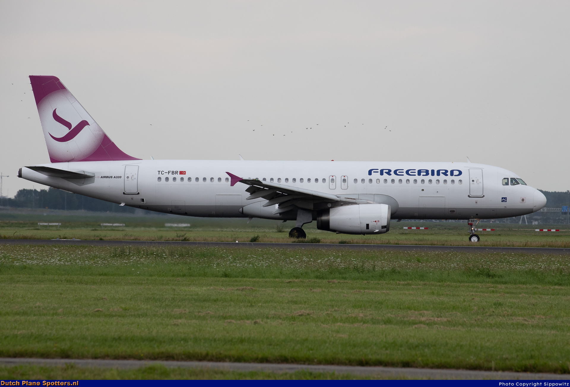 TC-FBR Airbus A320 Freebird Airlines by Sippowitz