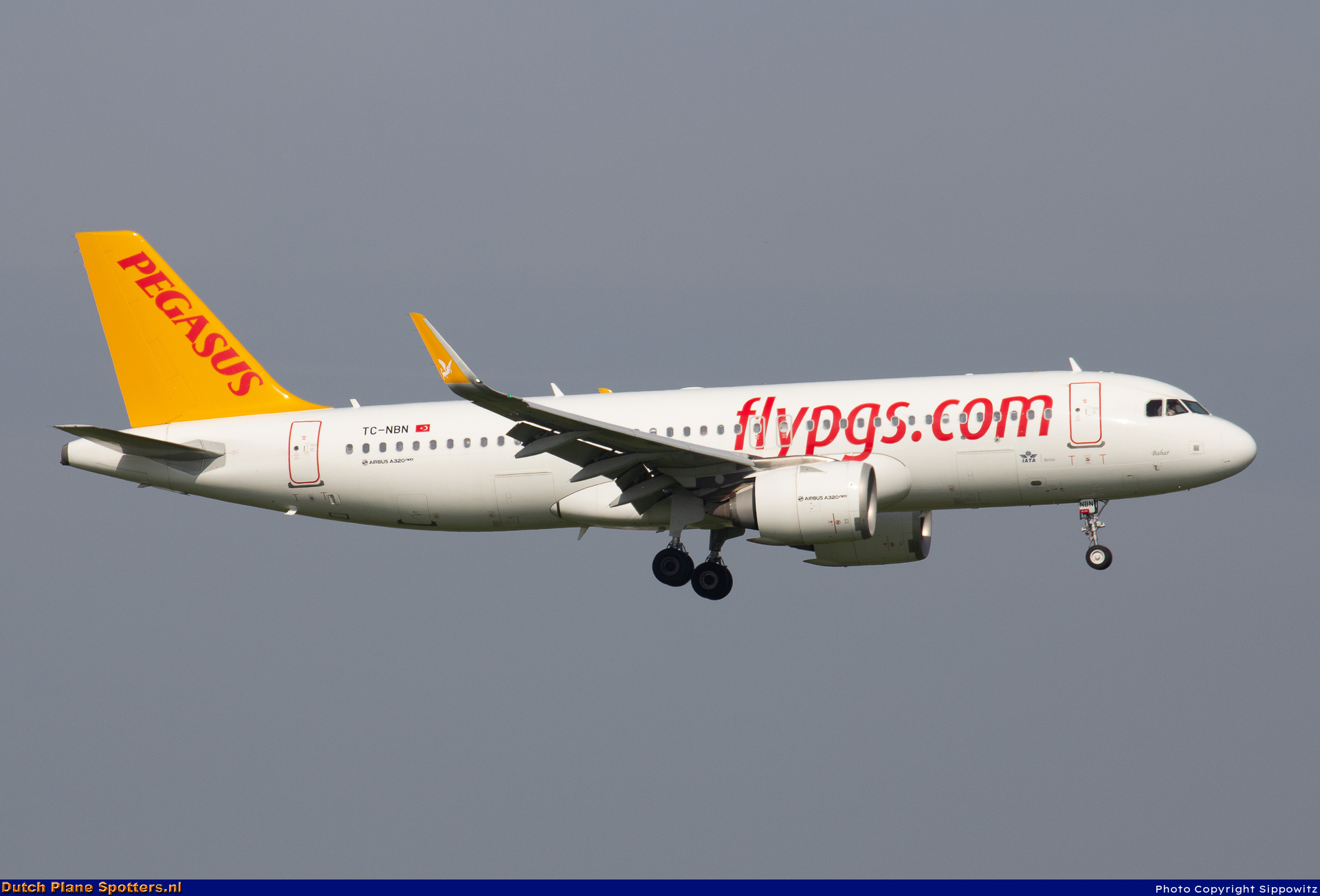 TC-NBN Airbus A320neo Pegasus by Sippowitz