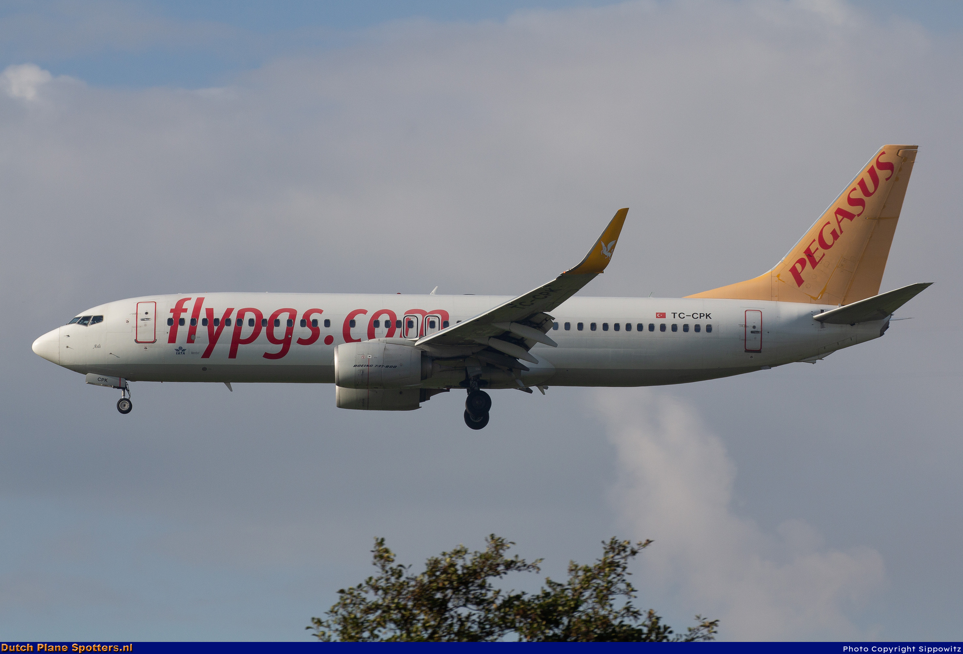 TC-CPK Boeing 737-800 Pegasus by Sippowitz