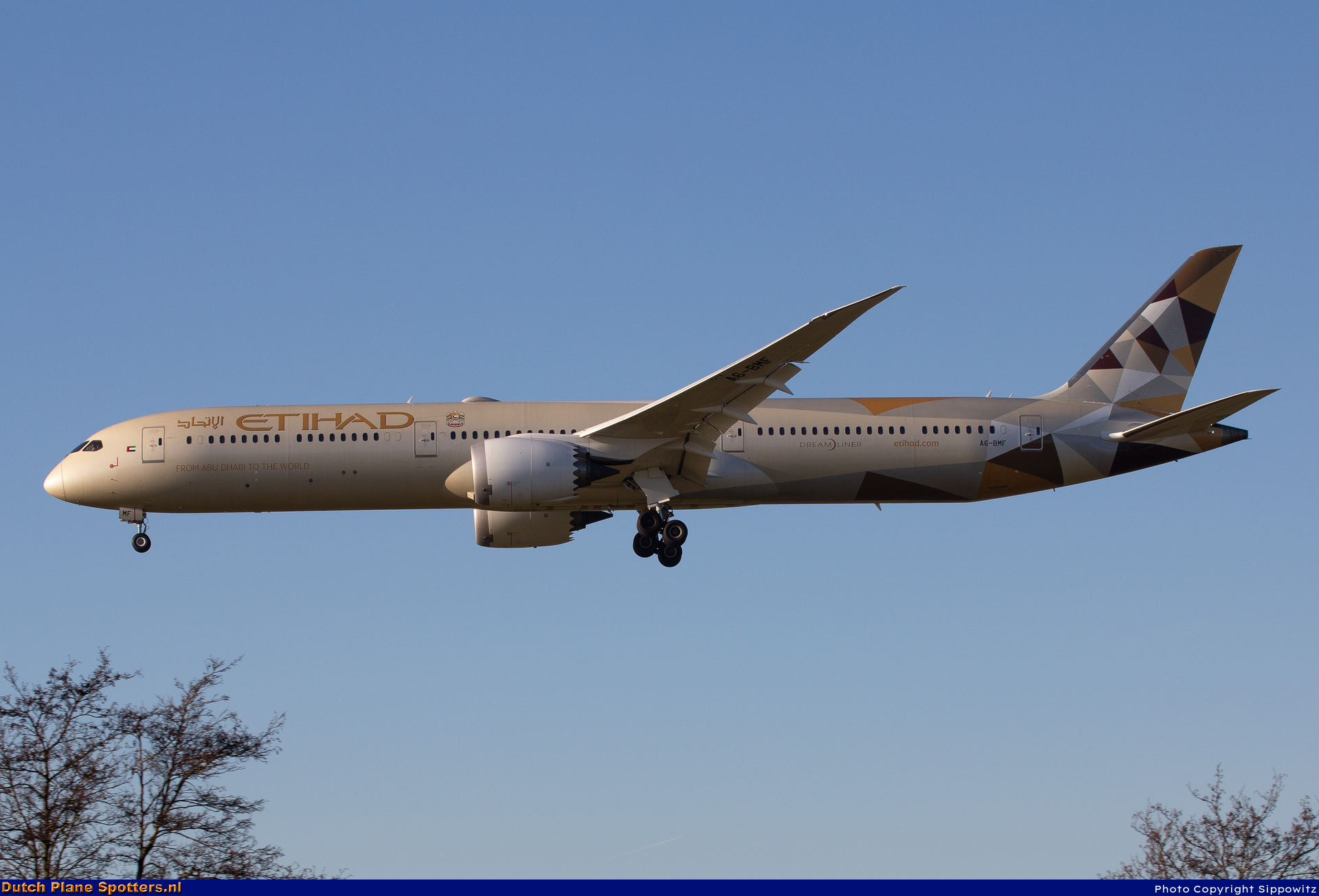 A6-BMF Boeing 787-10 Dreamliner Etihad by Sippowitz