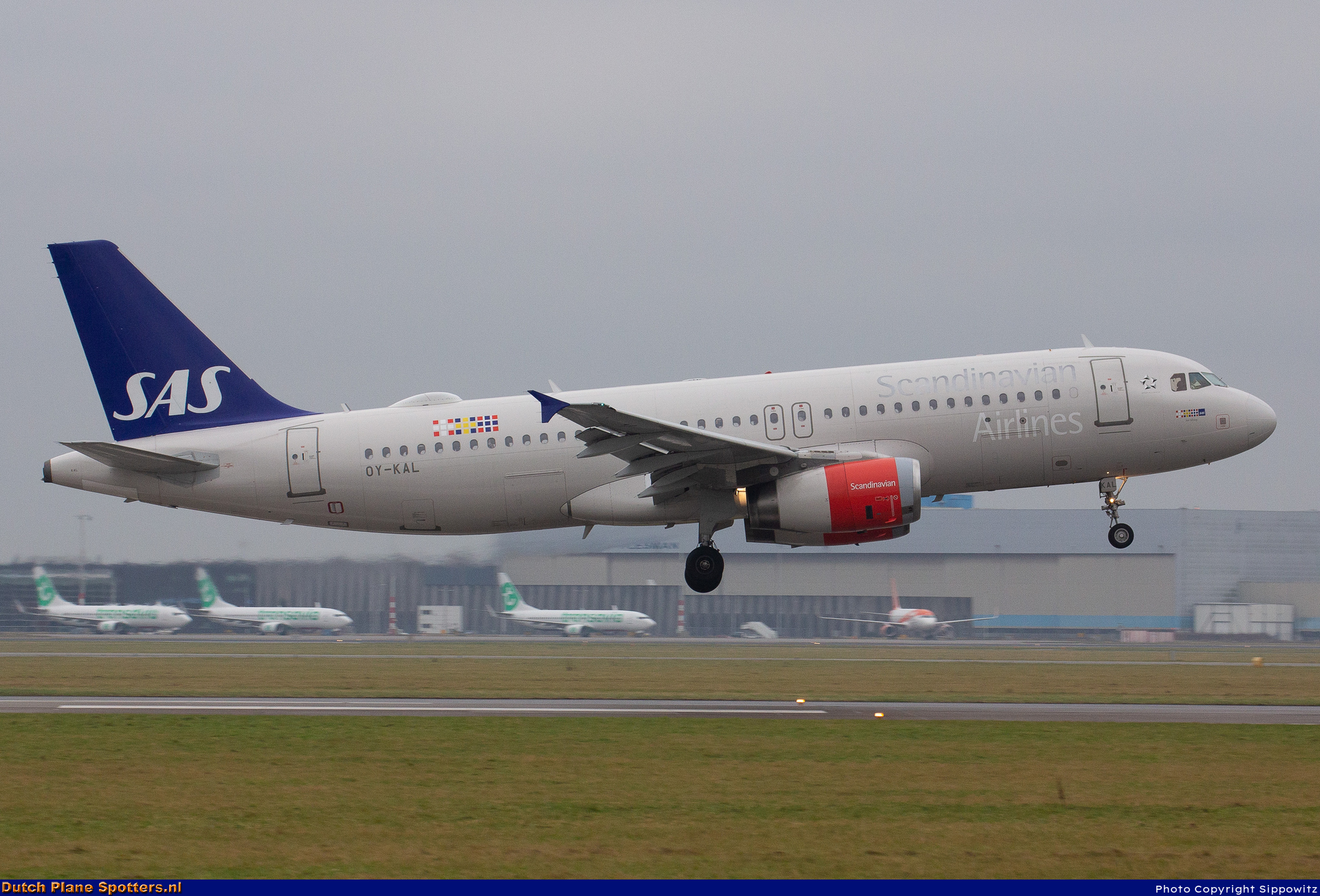 OY-KAL Airbus A320 SAS Scandinavian Airlines by Sippowitz