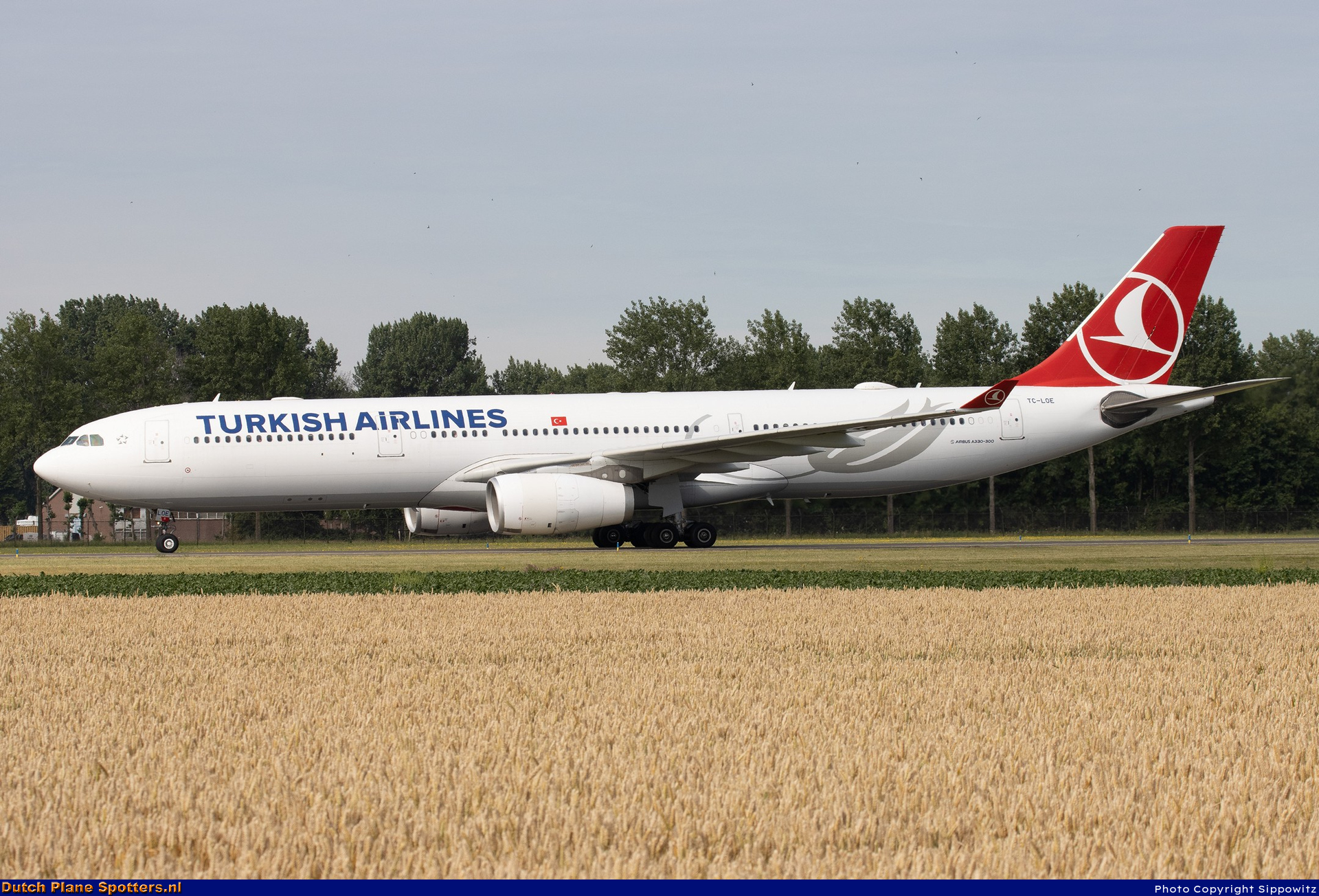 TC-LOE Airbus A330-300 Turkish Airlines by Sippowitz