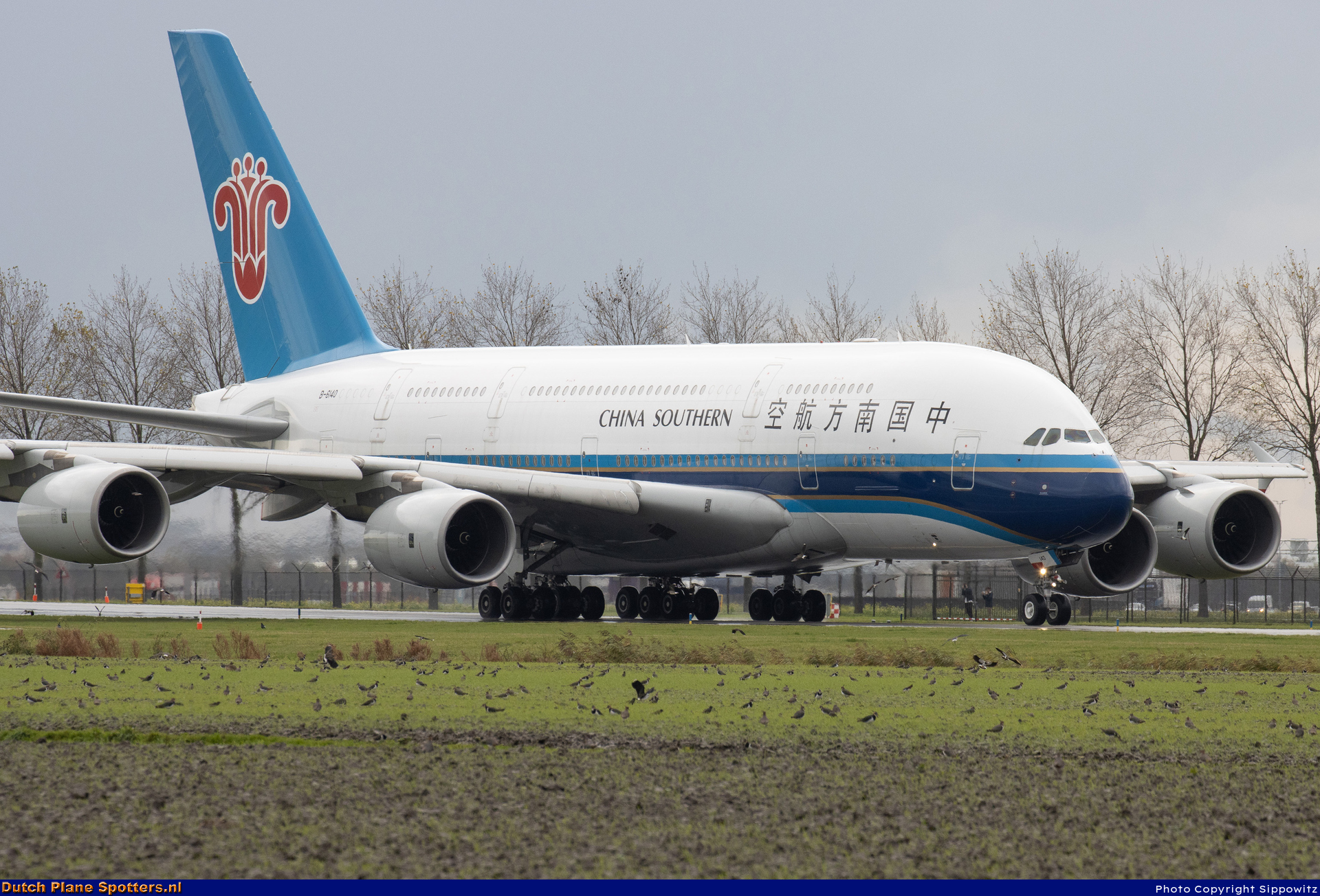 B-6140 Airbus A380-800 China Southern by Sippowitz