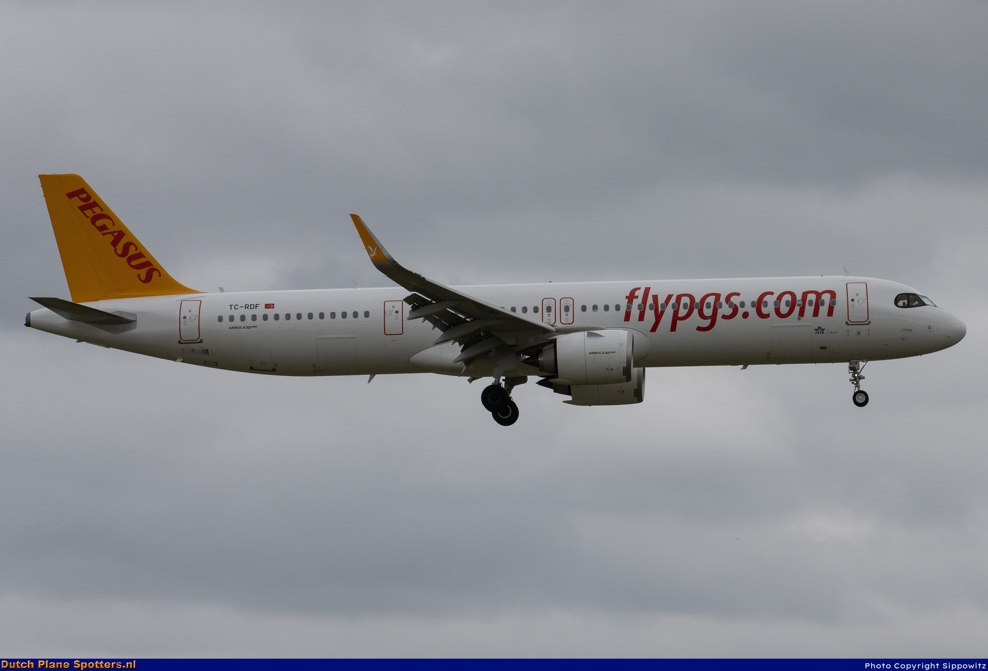 TC-RDF Airbus A321neo Pegasus by Sippowitz