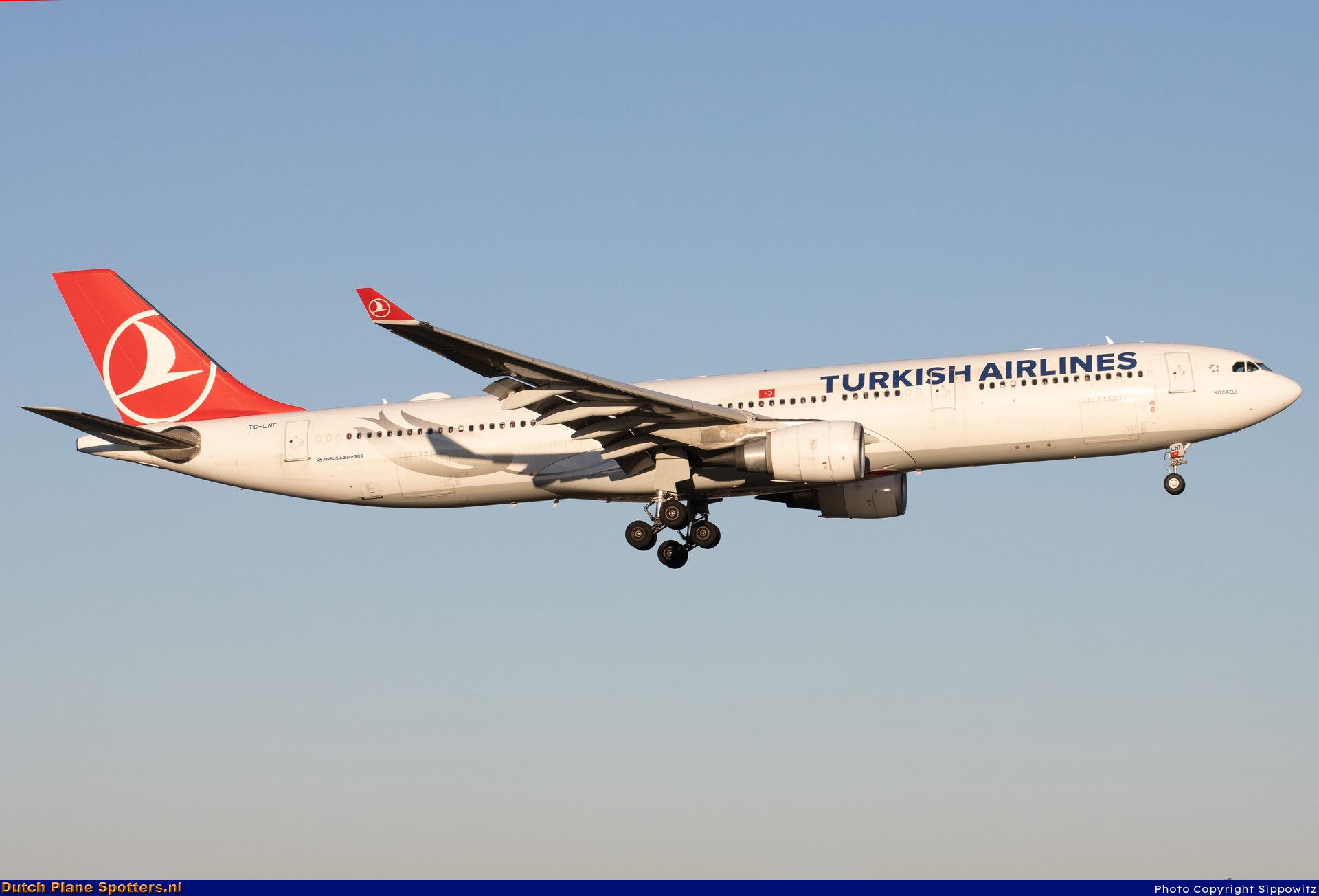 TC-LNF Airbus A330-300 Turkish Airlines by Sippowitz