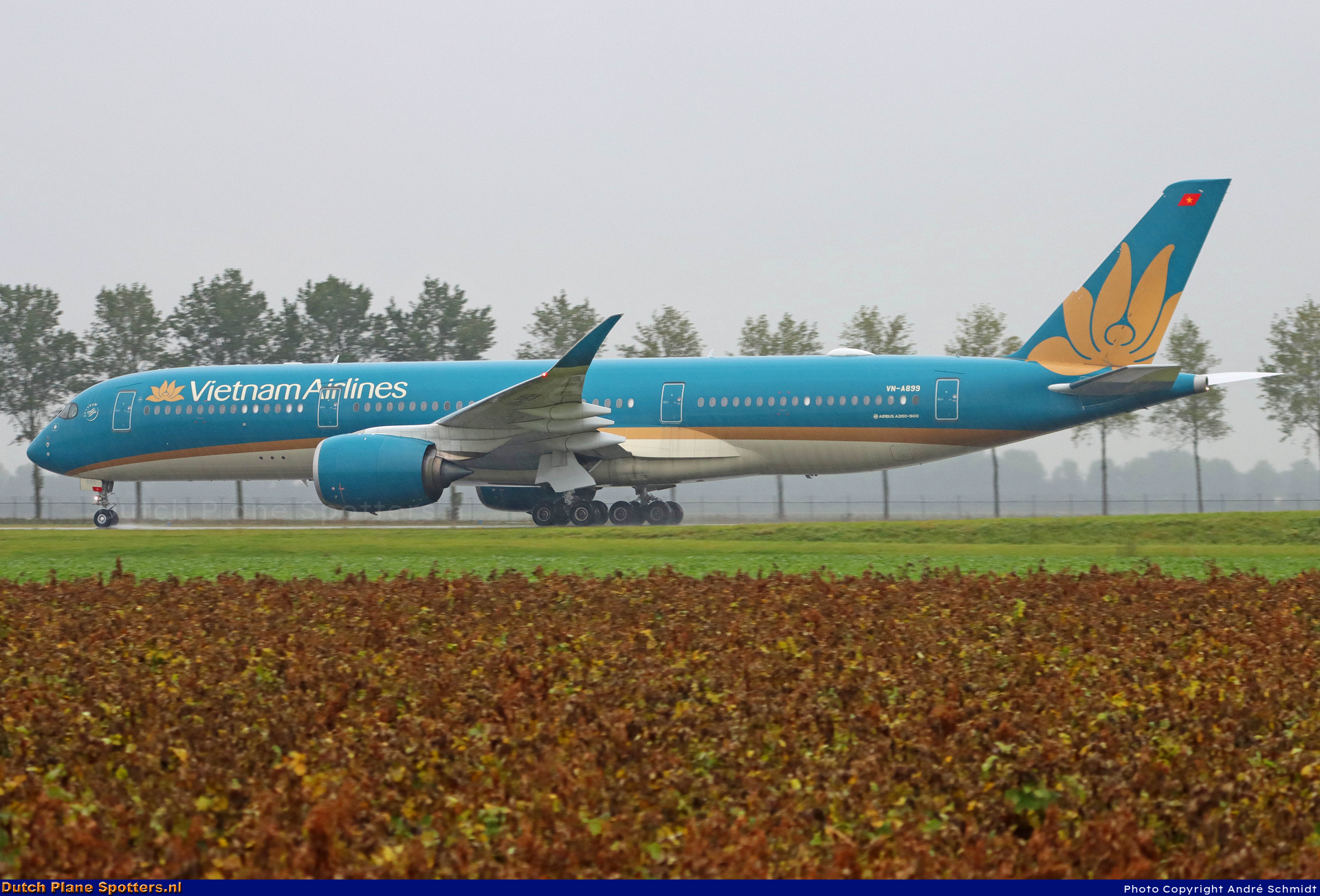 VN-A899 Airbus A350-900 Vietnam Airlines by André Schmidt