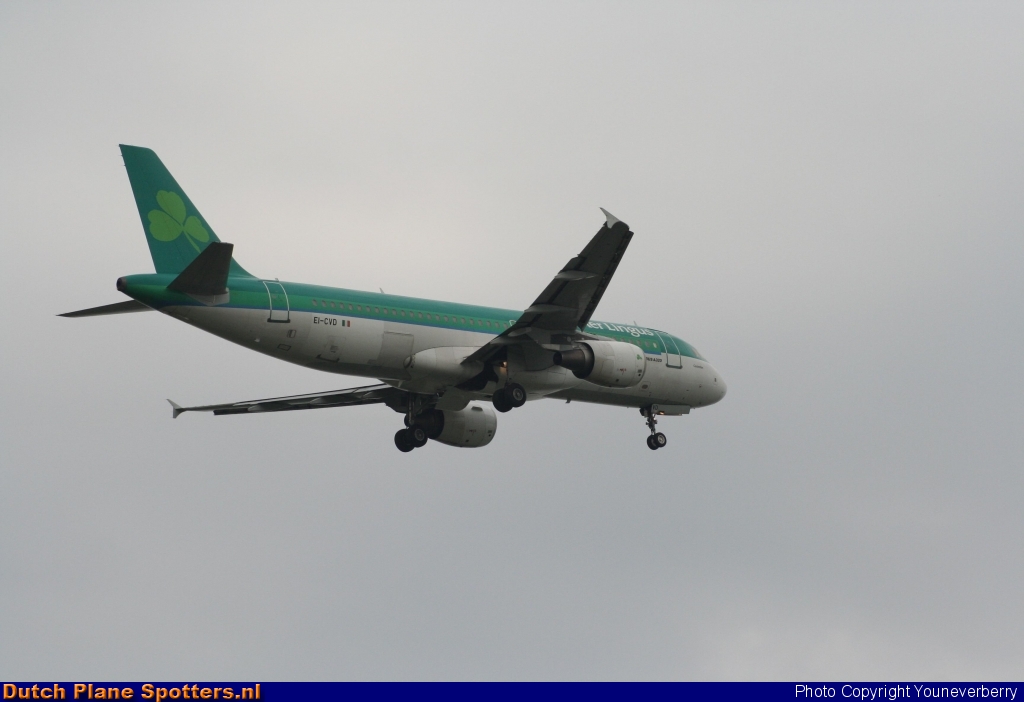 EI-CVD Airbus A320 Aer Lingus by Youneverberry