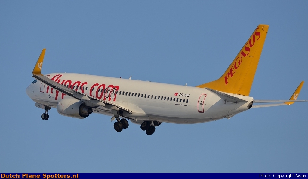 TC-AAL Boeing 737-800 Pegasus by Awax